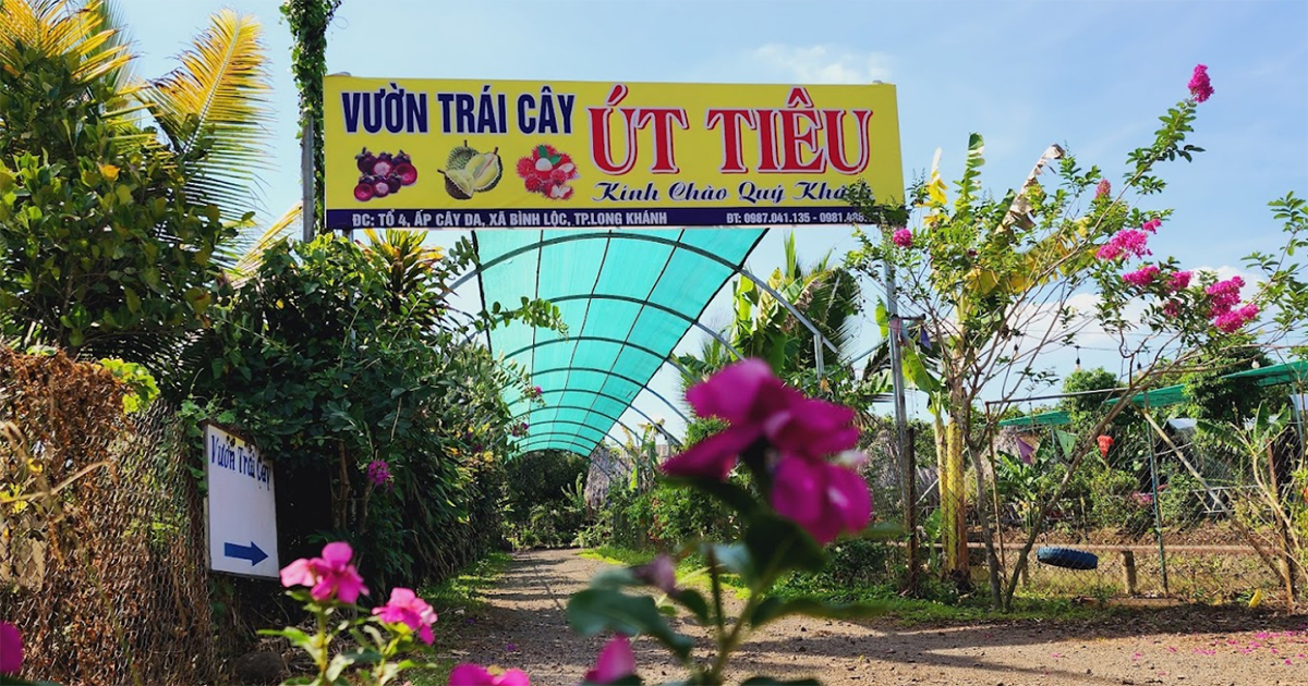 Vườn trái cây Út Tiêu