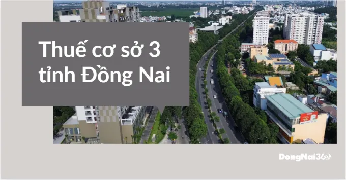 Trụ sở, Địa bàn quản lý của Thuế cơ sở 3 tỉnh Đồng Nai 2025