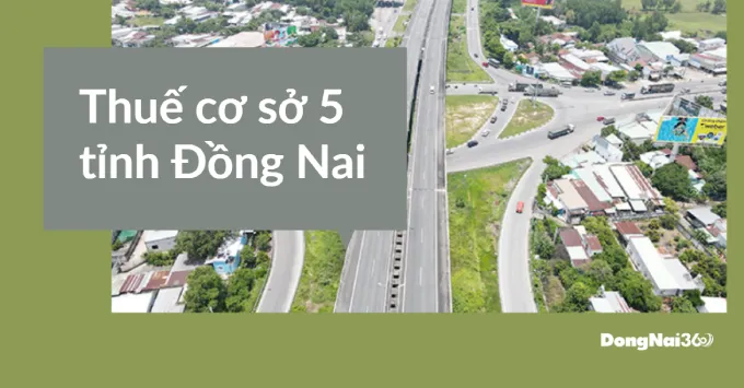 Trụ sở, Địa bàn quản lý của Thuế cơ sở 5 tỉnh Đồng Nai 2025