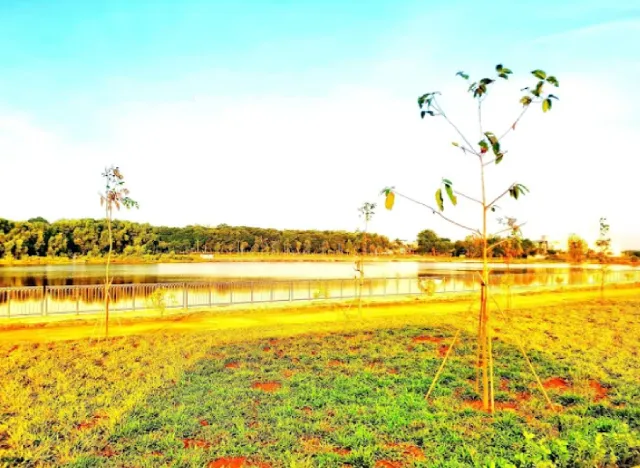 Khu vực hồ Suối Cam